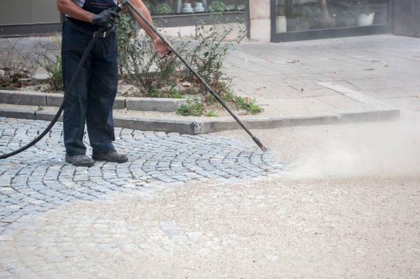 Best Concrete Sealing  in Carson City, MI