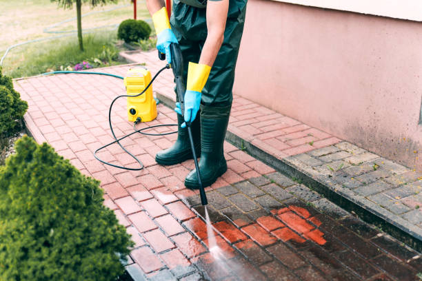 Best Pool Deck Cleaning  in Carson City, MI